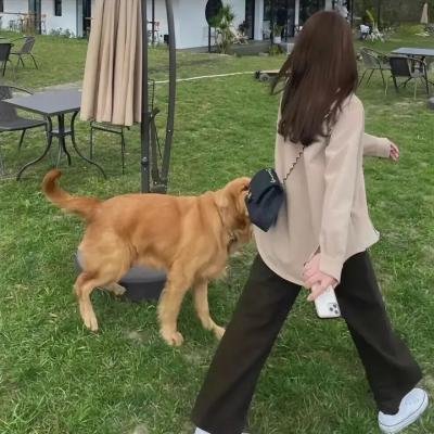 魔犬惊魂